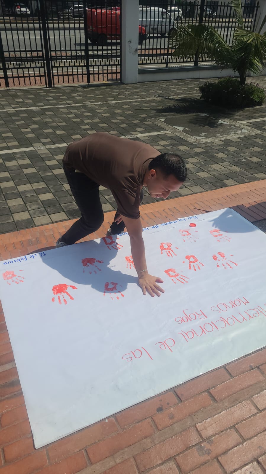 Galeria: CAMPAÑA MANOS ROJAS IPAZUD