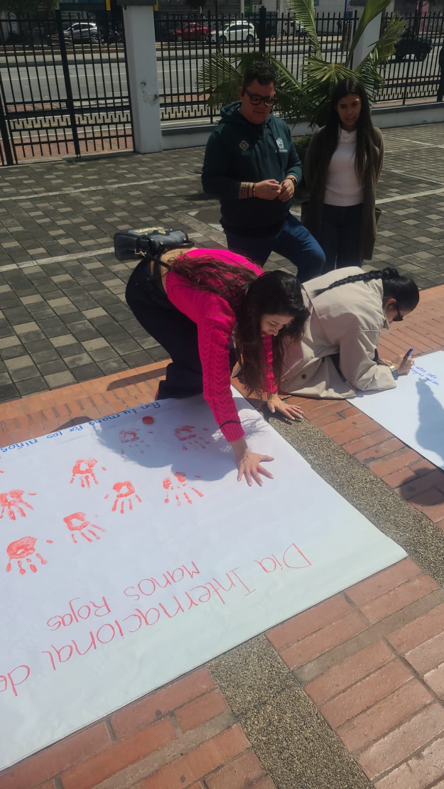 Galeria: CAMPAÑA MANOS ROJAS IPAZUD