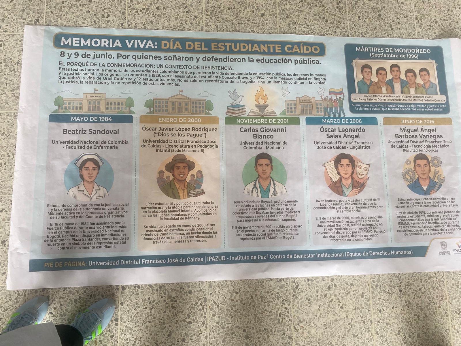 Galeria: CARTEL DÍA DEL ESTUDIANTE CAÍDO